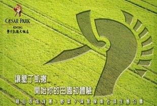 網站精靈示範網站廚房
