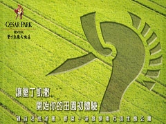 網站精靈示範網站戶外廣場